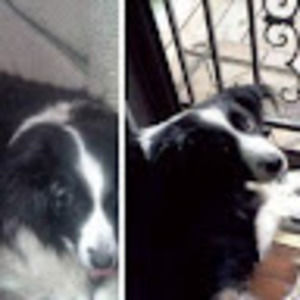 Meet your Posher, Evan